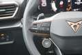 CUPRA Formentor VZ 2.0 TSI 4Drive 19 Zoll*Pano*ACC*DCC Blau - thumbnail 13