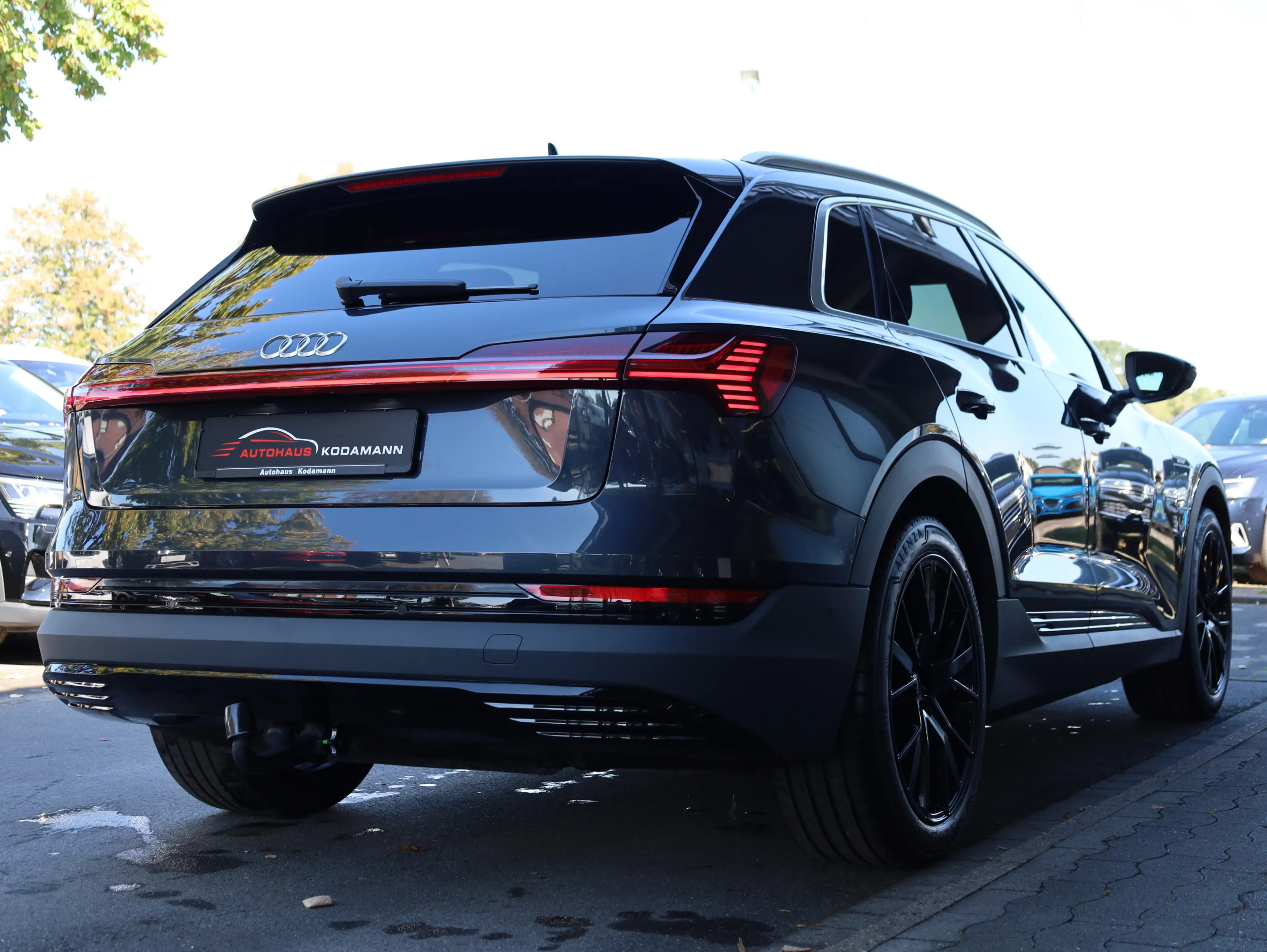 Audi e-tron 50 quattro S-Line *Memory*Luft*AHK*21 — photo 11