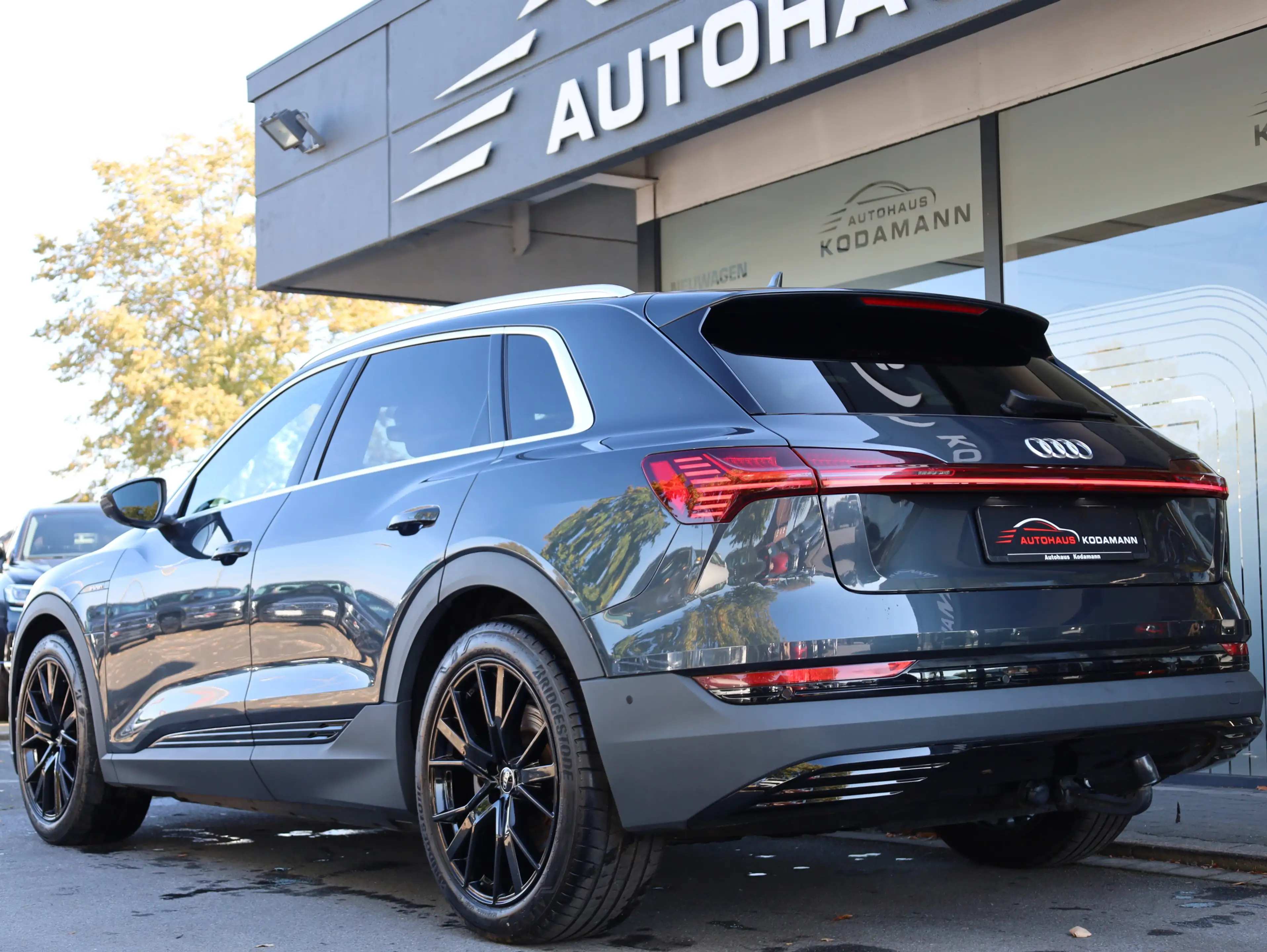Audi e-tron 50 quattro S-Line *Memory*Luft*AHK*21 — photo 8