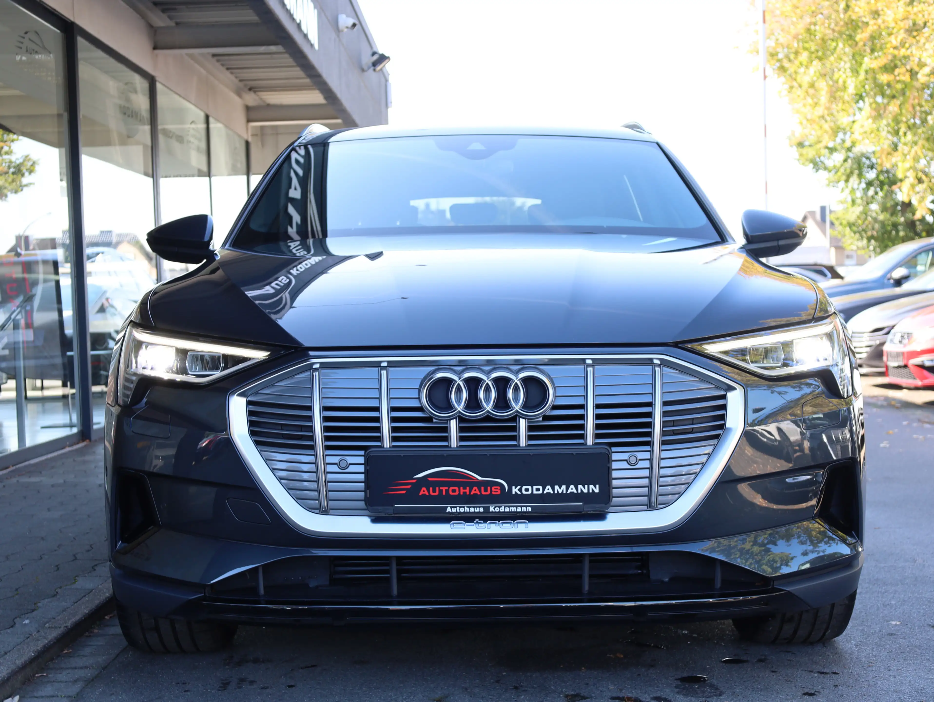 Audi e-tron 50 quattro S-Line *Memory*Luft*AHK*21 — photo 4