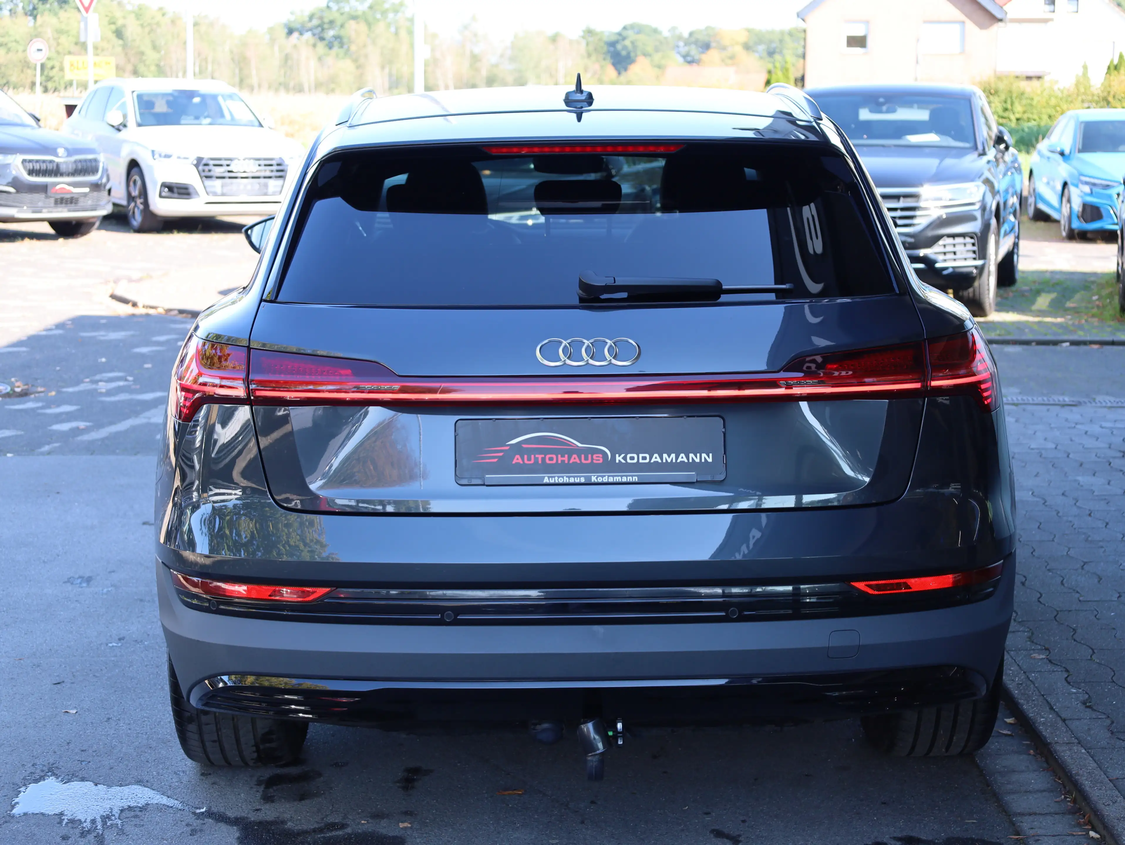 Audi e-tron 50 quattro S-Line *Memory*Luft*AHK*21 — photo 9