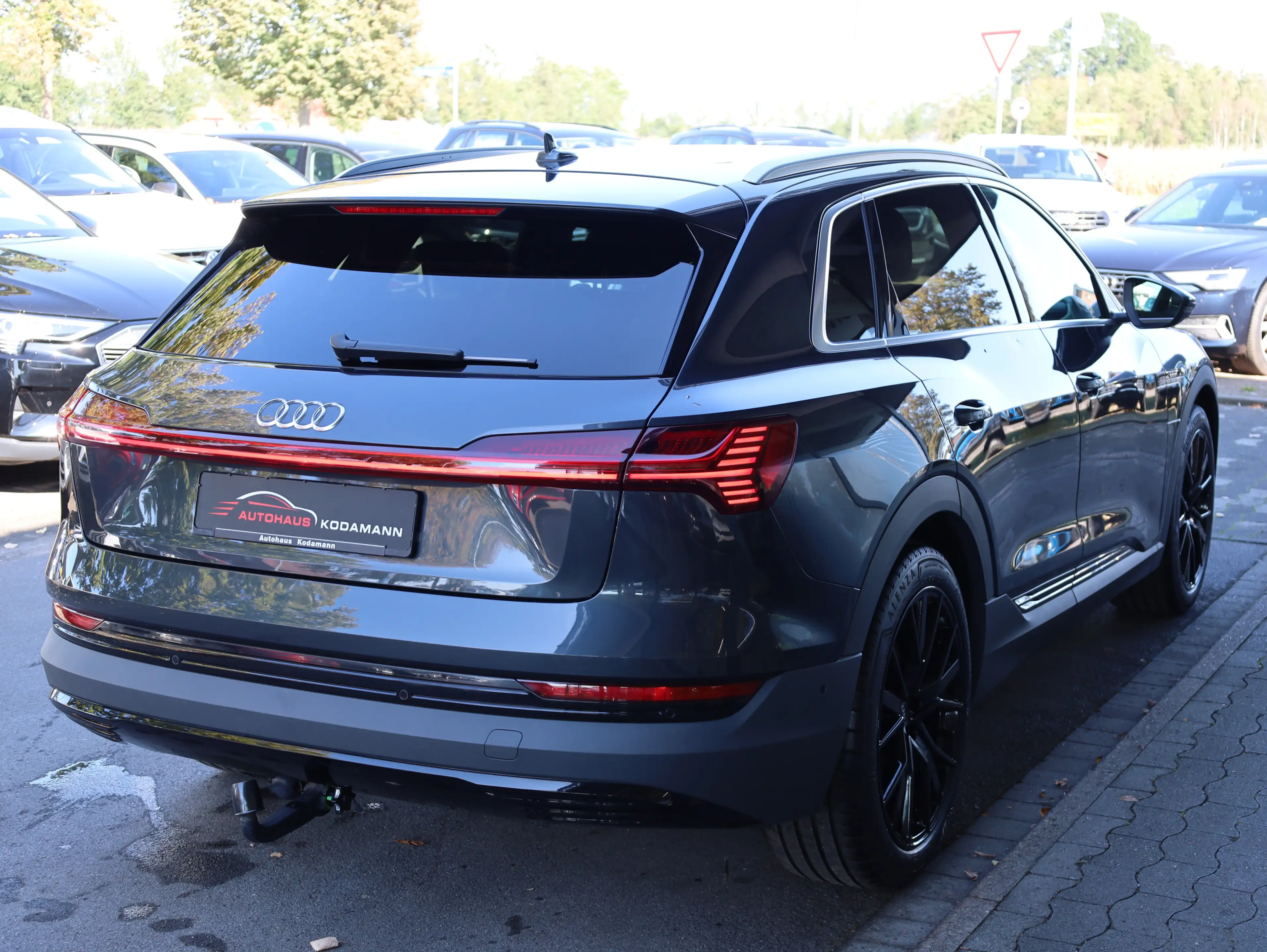 Audi e-tron 50 quattro S-Line *Memory*Luft*AHK*21 — photo 10