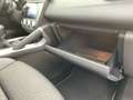 Renault Kadjar BOSE EDITION TCe 140 GPF 1.3 SHZ+NAVI+PDC Blau - thumbnail 30