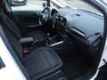 Ford EcoSport 1.0 TREND - WR, Winter-Pak., Reling, PDC v/h, Alu Weiß - thumbnail 7