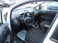 Ford EcoSport 1.0 TREND - WR, Winter-Pak., Reling, PDC v/h, Alu Weiß - thumbnail 3