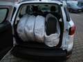 Ford EcoSport 1.0 TREND - WR, Winter-Pak., Reling, PDC v/h, Alu Weiß - thumbnail 9