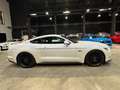 Ford Mustang Fastback V8 5.0 421 GT Blanc - thumbnail 6