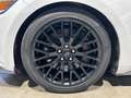Ford Mustang Fastback V8 5.0 421 GT Blanc - thumbnail 9