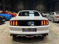 Ford Mustang Fastback V8 5.0 421 GT Blanc - thumbnail 4