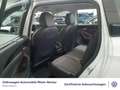 Volkswagen Tayron 1.5 eTSI DSG Life 7-Sitzer Navi AHK Kamer Weiß - thumbnail 12