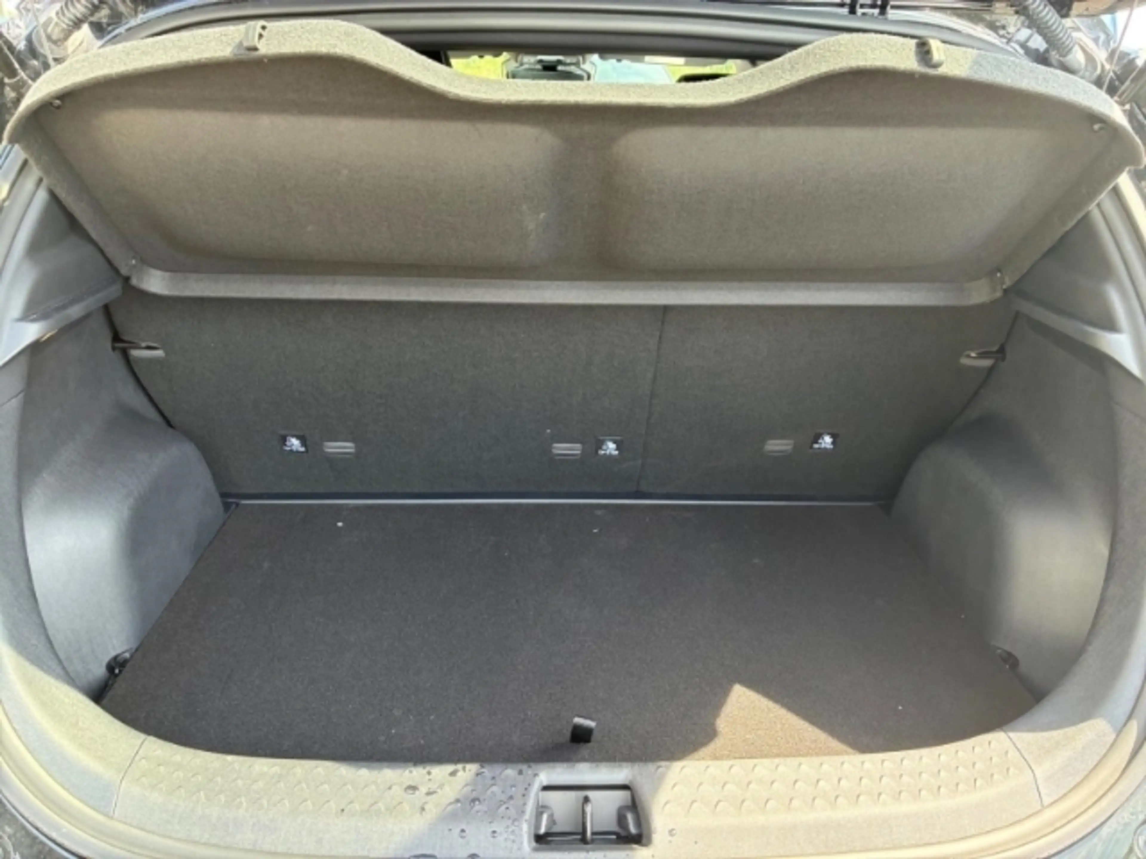 BYD Dolphin DMS Design 360 Grad Kamera Navi   Panoramadach — photo 12