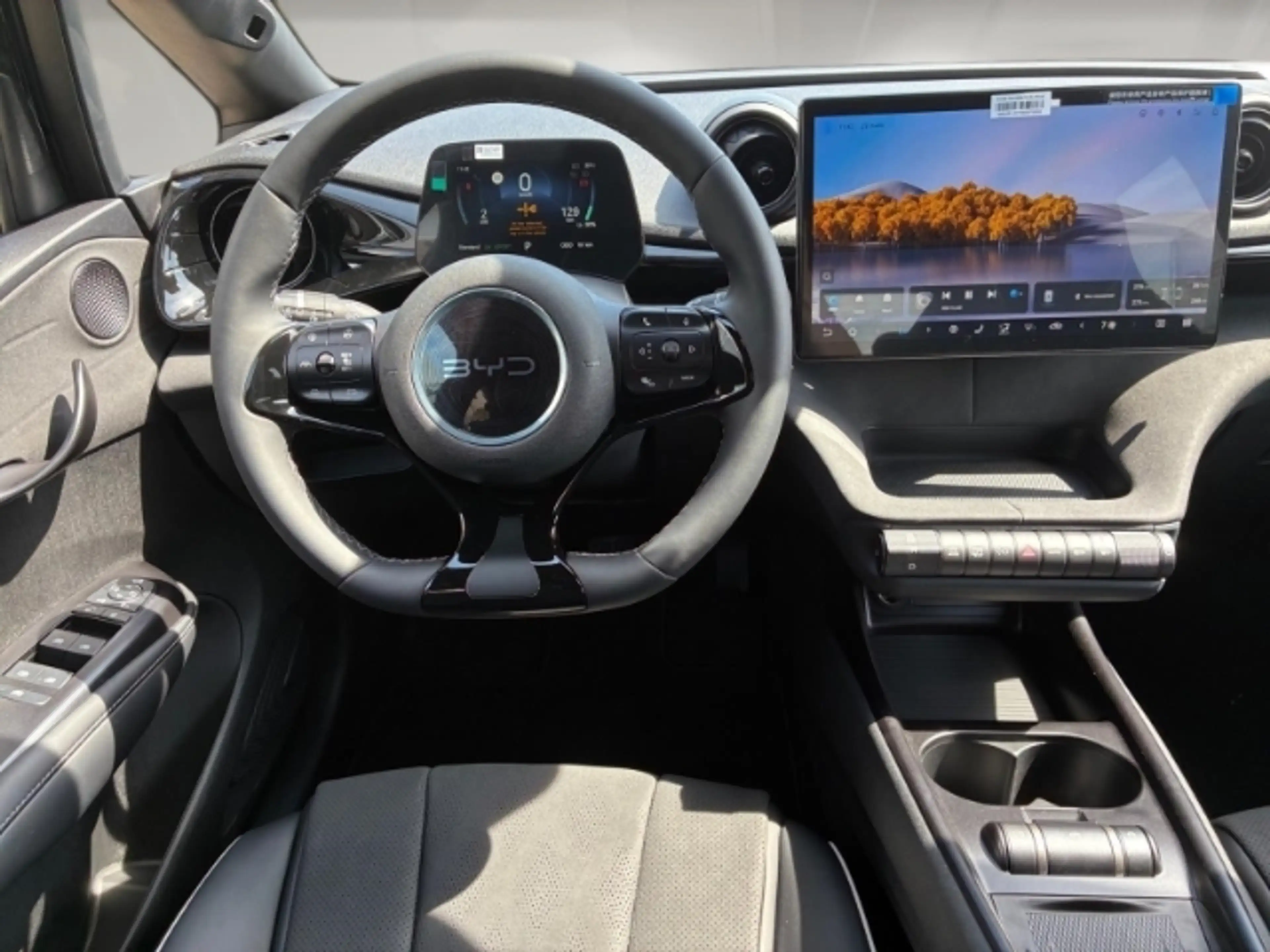 BYD Dolphin DMS Design 360 Grad Kamera Navi   Panoramadach — photo 10