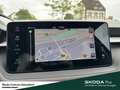 Skoda Fabia Selection Infotainment-Paket Winter-Paket Fahrassi Schwarz - thumbnail 22