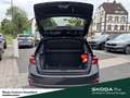 Skoda Fabia Selection Infotainment-Paket Winter-Paket Fahrassi Schwarz - thumbnail 12