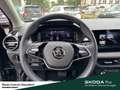 Skoda Fabia Selection Infotainment-Paket Winter-Paket Fahrassi Schwarz - thumbnail 21