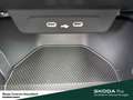 Skoda Fabia Selection Infotainment-Paket Winter-Paket Fahrassi Schwarz - thumbnail 20