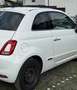 Fiat 500 500 ECO 1,2 69 Lounge Lounge Weiß - thumbnail 4