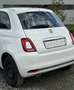 Fiat 500 500 ECO 1,2 69 Lounge Lounge Weiß - thumbnail 3