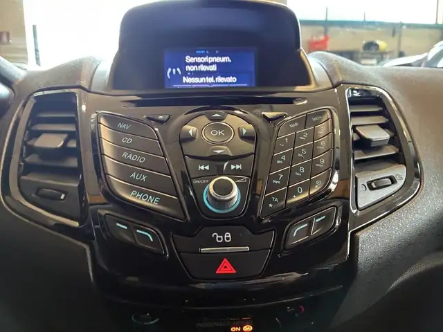Ford Fiesta view 10