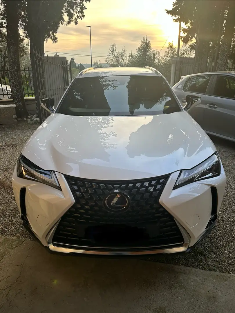 Lexus UX 250h - 1
