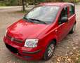 Fiat Panda Panda 1.2 Active Rot - thumbnail 5