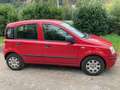 Fiat Panda Panda 1.2 Active Rot - thumbnail 4