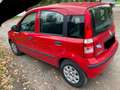 Fiat Panda Panda 1.2 Active Rot - thumbnail 6