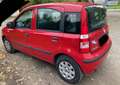 Fiat Panda Panda 1.2 Active Rot - thumbnail 3