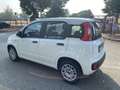 Fiat Panda 1.0 GSE S&S Hybrid Easy Van 4 posti Blanco - thumbnail 9