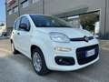 Fiat Panda 1.0 GSE S&S Hybrid Easy Van 4 posti Blanco - thumbnail 3