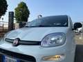Fiat Panda 1.0 GSE S&S Hybrid Easy Van 4 posti Blanco - thumbnail 15