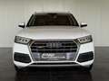 Audi Q5 2,0 TDI quattro sport S-tronic *CARPLAY*LED*QUA... Weiß - thumbnail 3
