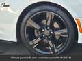 Chevrolet Camaro Pack ZL1 Tout compris hors homologation 4500e Blanc - thumbnail 5