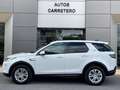 Land Rover Discovery Sport 1.5 I3 PHEV S AWD Auto Bianco - thumbnail 12
