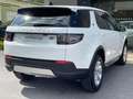 Land Rover Discovery Sport 1.5 I3 PHEV S AWD Auto Bianco - thumbnail 2
