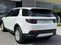 Land Rover Discovery Sport 1.5 I3 PHEV S AWD Auto Bianco - thumbnail 11