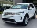 Land Rover Discovery Sport 1.5 I3 PHEV S AWD Auto Bianco - thumbnail 1