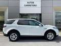 Land Rover Discovery Sport 1.5 I3 PHEV S AWD Auto Bianco - thumbnail 6