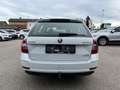 Skoda Octavia Combi 1,6 TDI Ambition| AHK Weiß - thumbnail 4