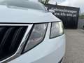 Skoda Octavia Combi 1,6 TDI Ambition| AHK Weiß - thumbnail 33