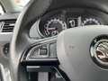 Skoda Octavia Combi 1,6 TDI Ambition| AHK Weiß - thumbnail 38