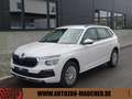 Skoda Kamiq 1.0 TSI Selection SHZ/PDC/LED/APP Wit - thumbnail 1