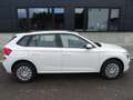 Skoda Kamiq 1.0 TSI Selection SHZ/PDC/LED/APP Wit - thumbnail 16