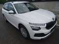 Skoda Kamiq 1.0 TSI Selection SHZ/PDC/LED/APP Wit - thumbnail 17