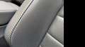 Volkswagen Golf 2.0 TSI R Black Edition DSG 4Motion 245kW Negro - thumbnail 29