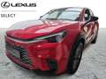 Lexus LBX Base Rot - thumbnail 1