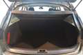 Nissan Qashqai 1.6 dCi DPF 360 Grigio - thumbnail 5