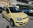 Fiat Panda Panda 1.2 Dynamic Giallo - thumbnail 3