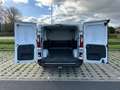 Fiat Talento Blanc - thumbnail 7