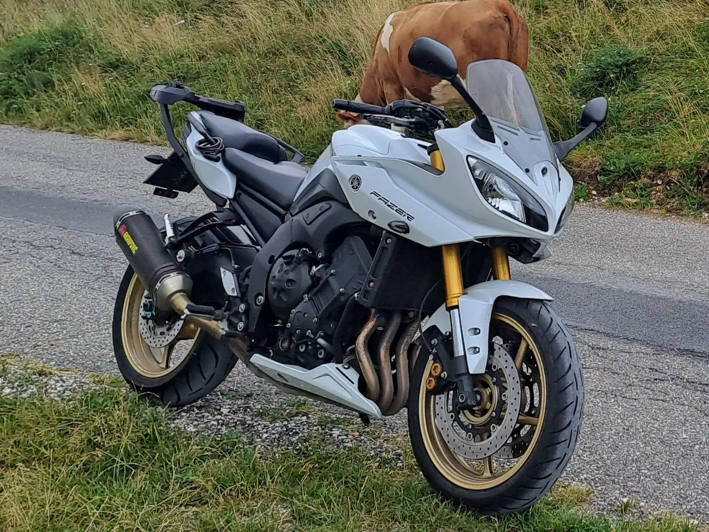 Yamaha FZ 8 Белый - 1
